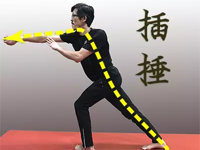 Choy Li Fut kung-fu-strike technique image