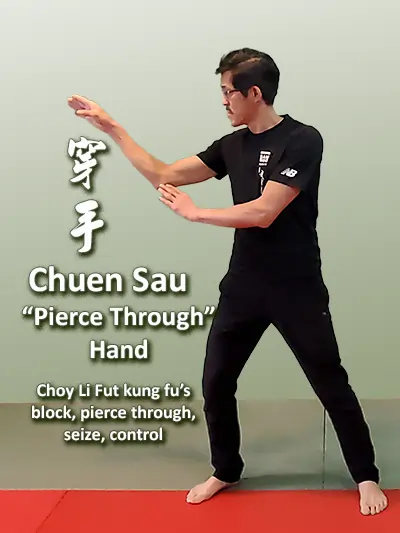 Choy Li Fut kung fu forearm block - Chuen Sau or 