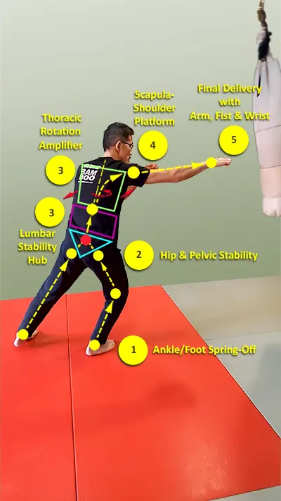 Diagram of a punching technique, with details of kinetic chain, showing force lines from the ground  travels from foot through legs, up to the pelvis (dantien), stable lumbar spine, rotating thoracic spine, locked scapula, and straight wrist to deliver maximum power.