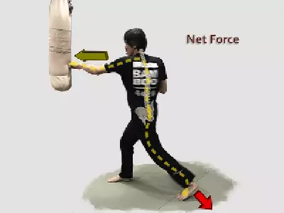 Body mechanics of kung fu punch image