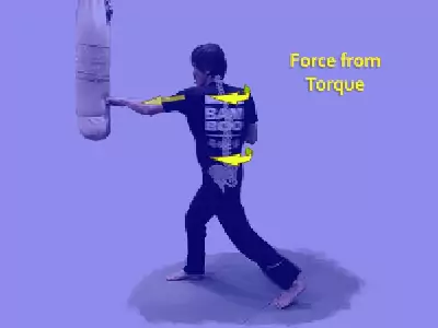 Energy of body torque-kung fu punch image