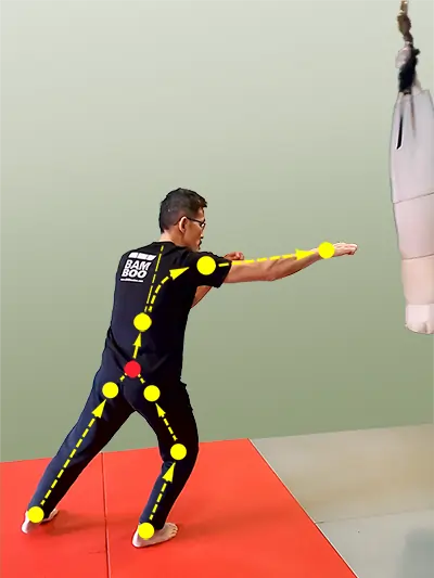 Diagram showing how to punch harder using biomechanics: ground force travels from foot through legs, pelvis (dantien), stable lumbar spine, rotating thoracic spine, locked scapula, and straight wrist to deliver maximum power.