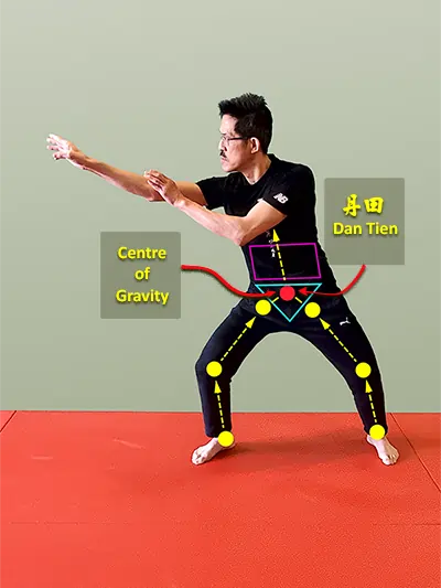 Diagram showing detail of centre of gravity corresponding to the ancient wisdom of Dan Tien: ground force travels from foot through legs, pelvis (dantien), to the stable lumbar spine, and further upwards.