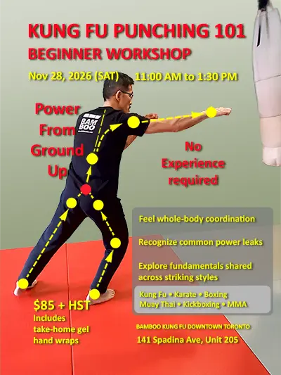 Sifu Kin Sze demonstrating a kung fu punch with force lines illustrating the kinetic chain