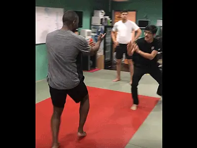 Animated Choy Li Fut kung-fu saau chui technique application