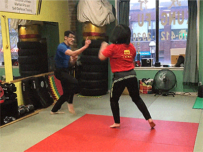 gif-kung-fu technique application