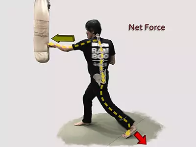 image-Choy Li Fut-kung-fu-charpchui-punch-on-bean-bag